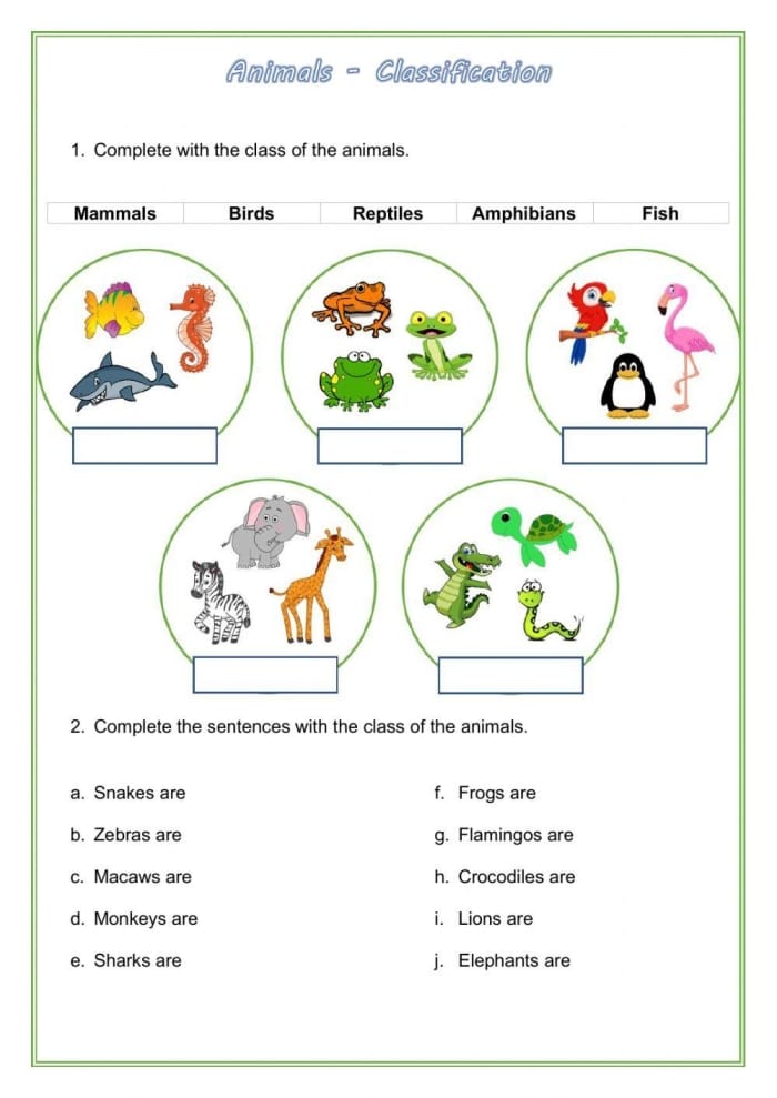 Critter Classification Amphibians Worksheet Number 21 A first grade worksheet for identifying amphibians by circling animals with specific traits