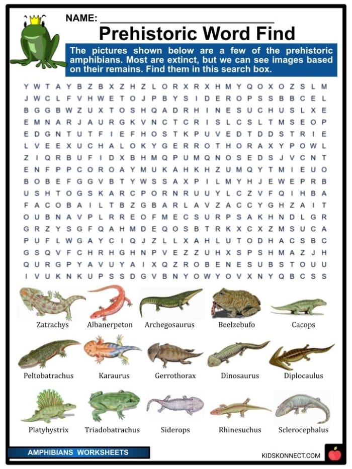 Critter Classification Amphibians Worksheet Part Two First grade science worksheet with colorful illustrations for identifying amphibian characteristics