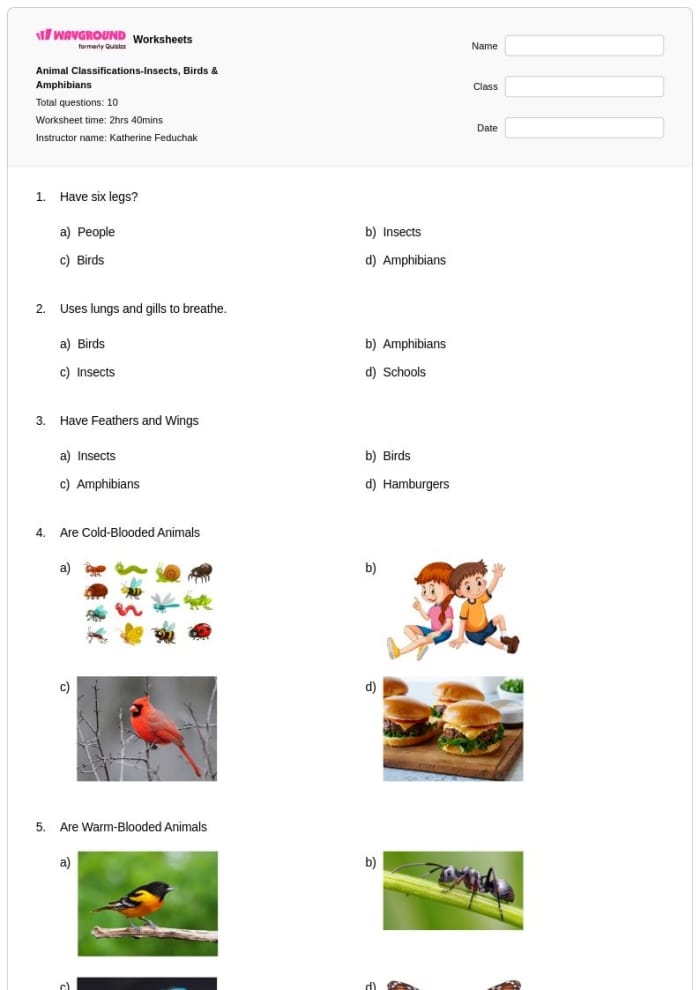 Life Science worksheet for First Grade Colorful worksheet for first graders exploring amphibian characteristics and identifying related animals. Critter Classification: Amphibians worksheet for young learners.