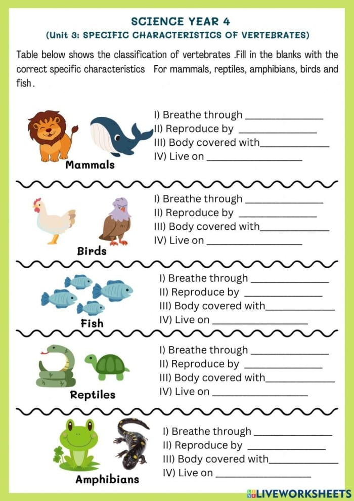 Amphibian classification activity worksheet for young learners Cute worksheet for first graders to identify amphibians and their shared characteristics