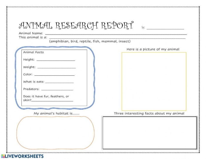 First grade animal research graphic organizer worksheet featuring space for writing about favorite creatures