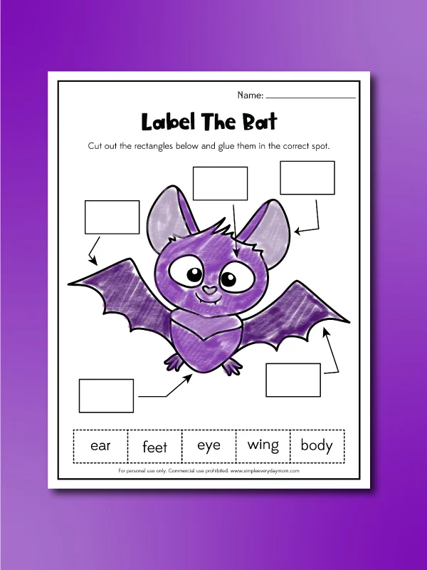 First grade students reading about interesting bat facts with comprehension questions on a worksheet
