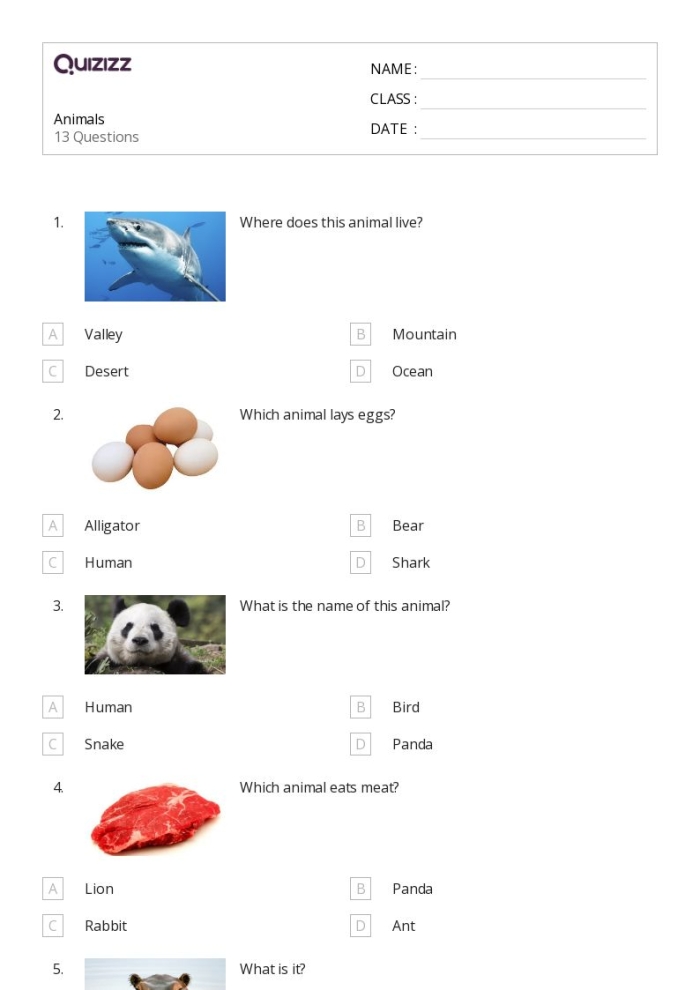 First grade reading comprehension worksheet featuring facts about bats and geometric shapes