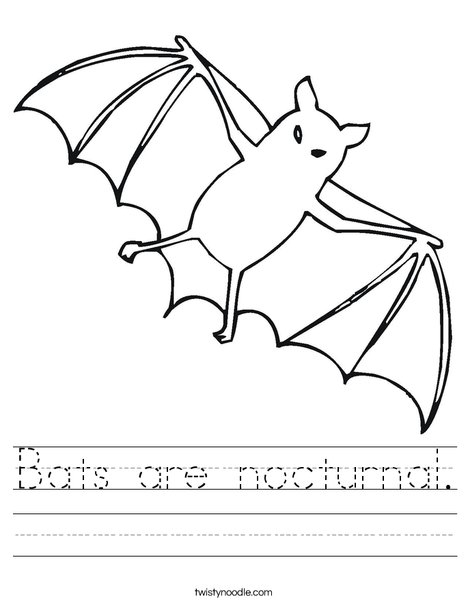 First grade students completing a nonfiction reading comprehension worksheet about interesting bat facts and geometry