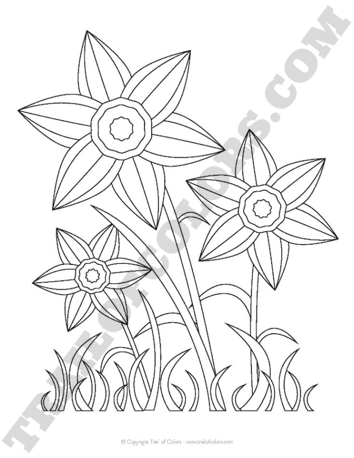 Daffodil Parts Science and Coloring Worksheet Number 7 First grade student coloring a flower diagram on a spring daffodil worksheet