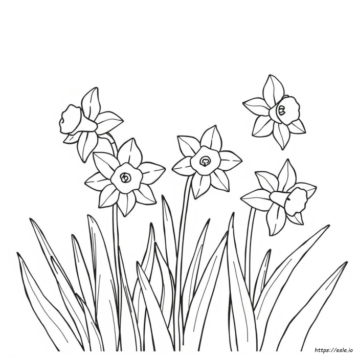 Color a Daffodil worksheet featuring a numbered botanical diagram for first grade students 16 First grade student using a Color a Daffodil worksheet to learn flower anatomy for math lesson 16