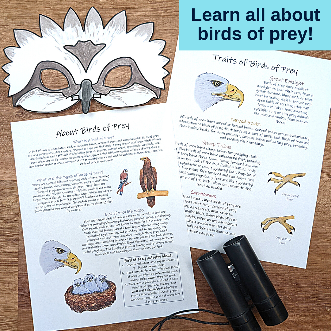 A first grade student holding a colorful bird mask cut out from a paper worksheet