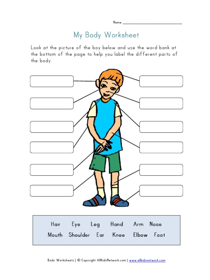 First grade worksheet featuring a human body diagram for labeling body parts