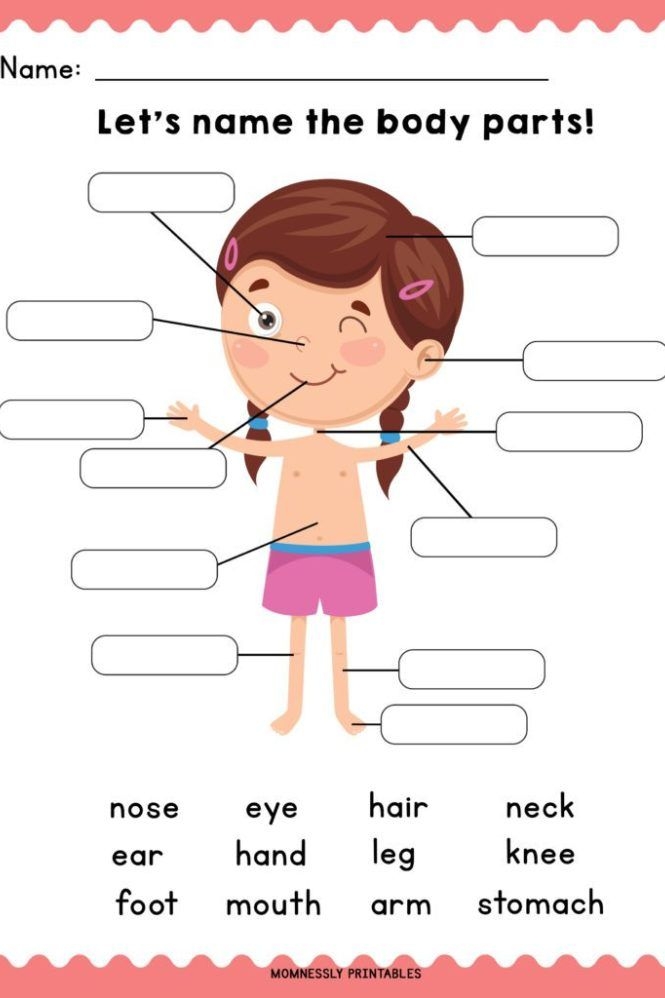First grade worksheet asking students to identify and label various parts of the human body