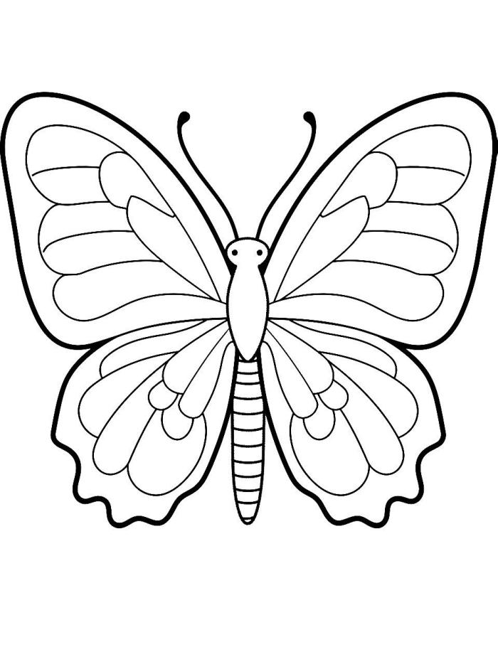 First Grade Butterflies Coloring Activity Page 19 A colorful worksheet featuring multiple detailed butterflies with different wing patterns for first graders to color and decorate