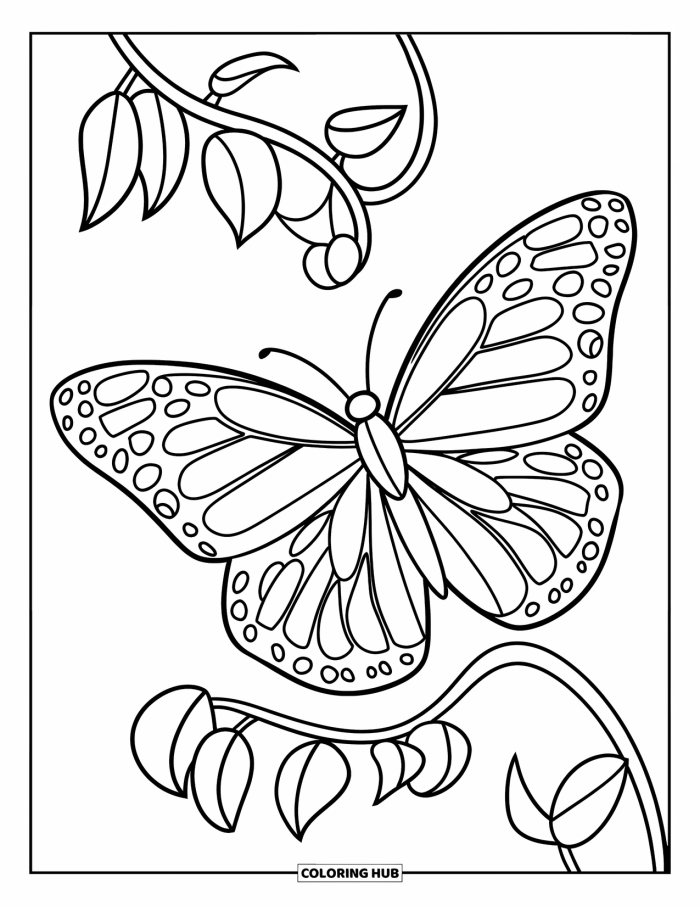 Butterflies Coloring Page Worksheet 8 for First Grade Science Detailed coloring page featuring a collection of diverse butterflies for first grade students