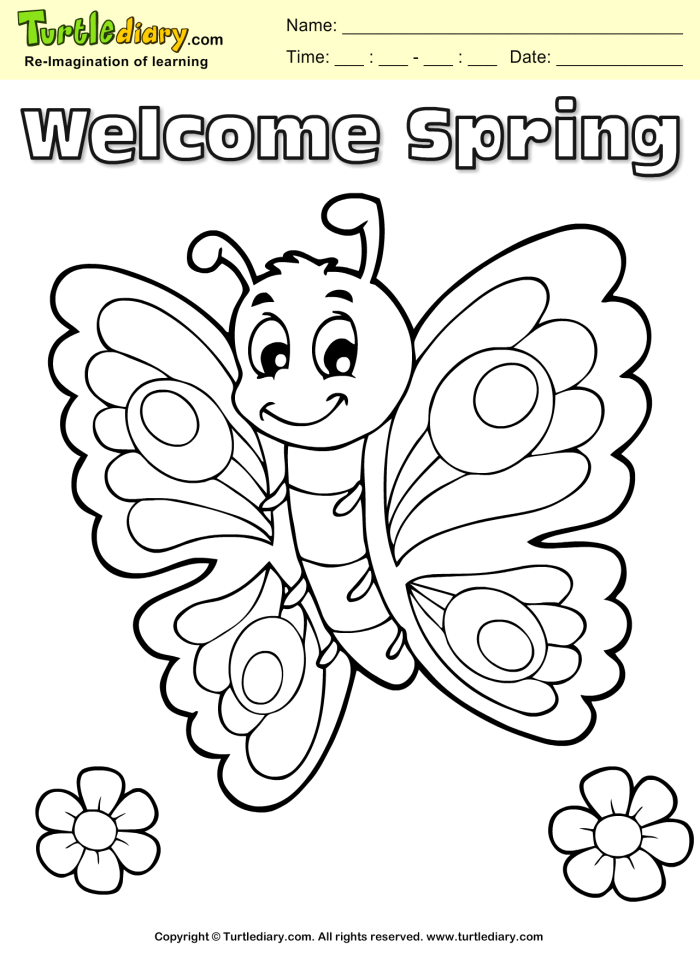 First Grade Butterflies Coloring Worksheet with Intricate Wing Designs Colorful butterflies with detailed wing patterns for first grade students to color and decorate