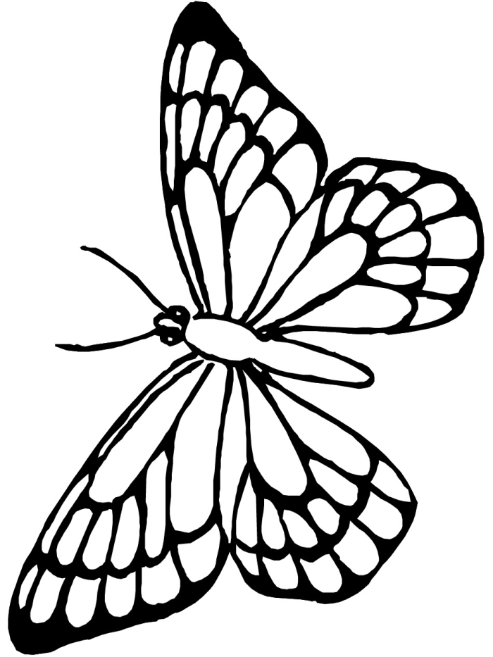 Butterflies Coloring Page Worksheet 13 for First Grade Science First grade science worksheet featuring a detailed flutter of butterflies for coloring practice