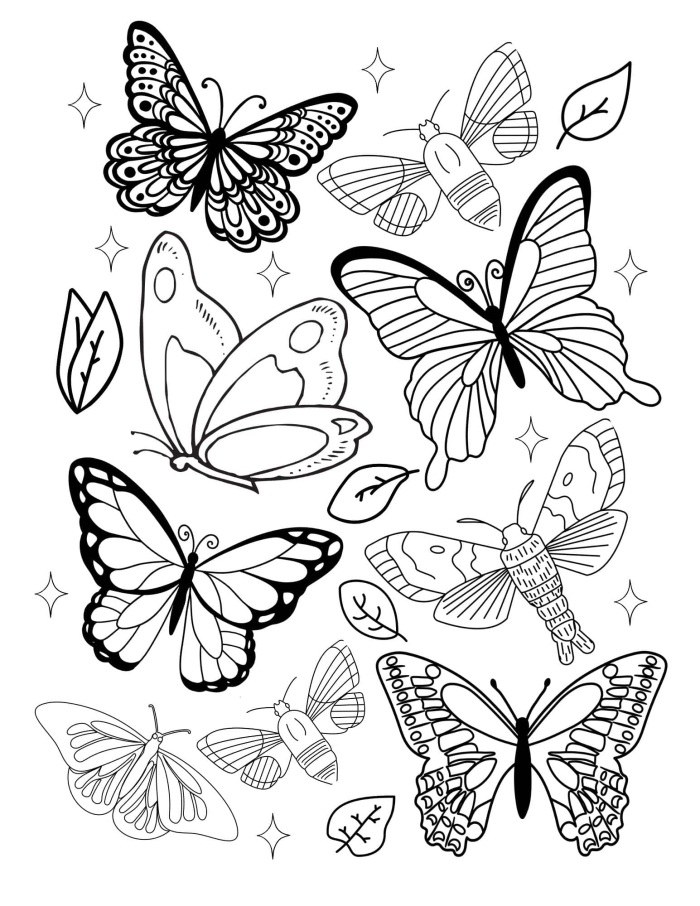 First Grade Butterflies Coloring Activity 23 Colorful butterfly illustration with detailed wing patterns for first grade students to color and practice artistic skills