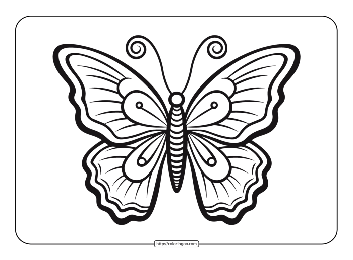Butterflies Coloring Page Worksheet Number 7 Detailed butterflies coloring page for first grade science students