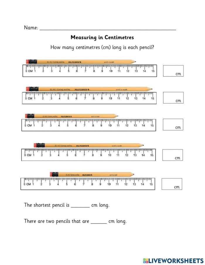 First grade students using mini rulers to measure objects in centimeters on a practice worksheet