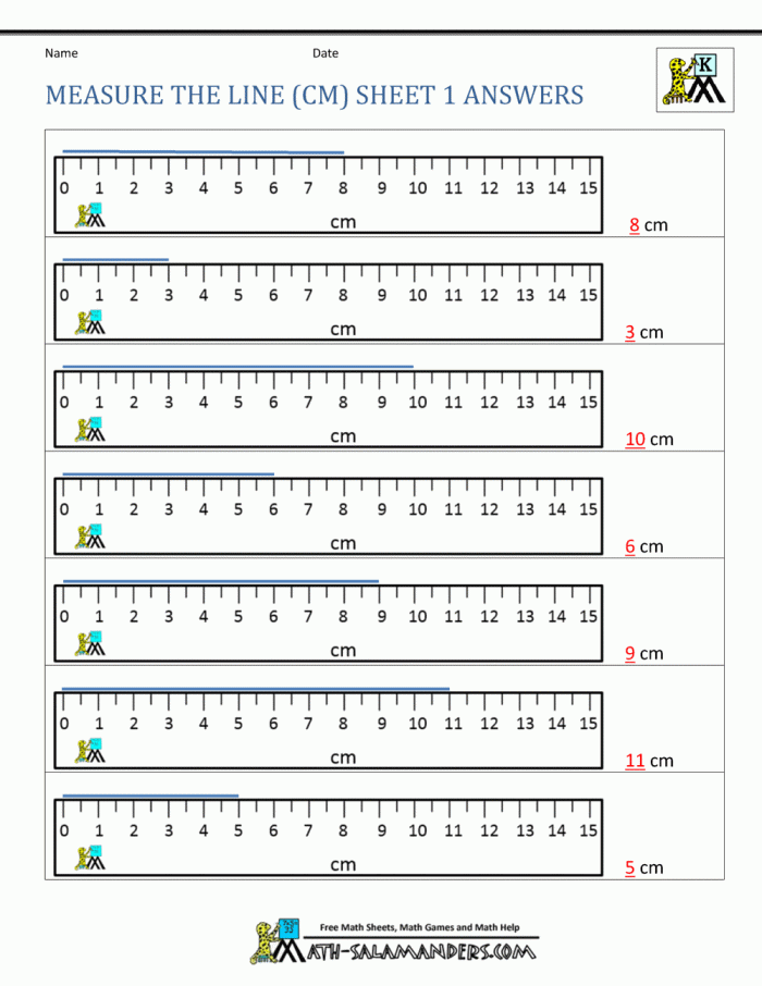 First grade student using a mini ruler to measure a pencil in centimeters on a worksheet