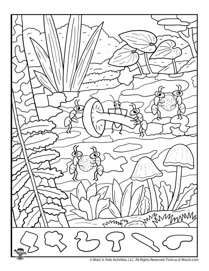 Hidden Bug coloring worksheet for first graders focusing on numbers and counting