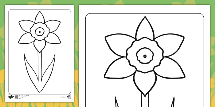 Color a Daffodil worksheet for first grade science and art 19 A first grade student coloring a daffodil diagram as part of a spring flower anatomy lesson 19