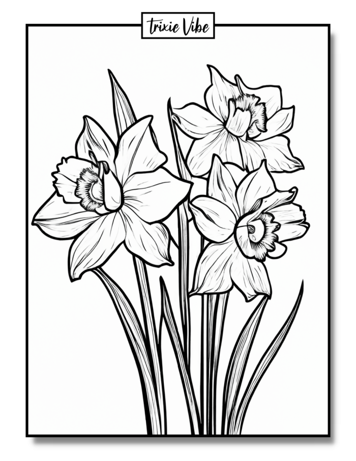 Daffodil Flower Parts Coloring Activity for Early Learners First grade student coloring a yellow daffodil flower with labeled parts including petals, stem, and leaves for spring learning