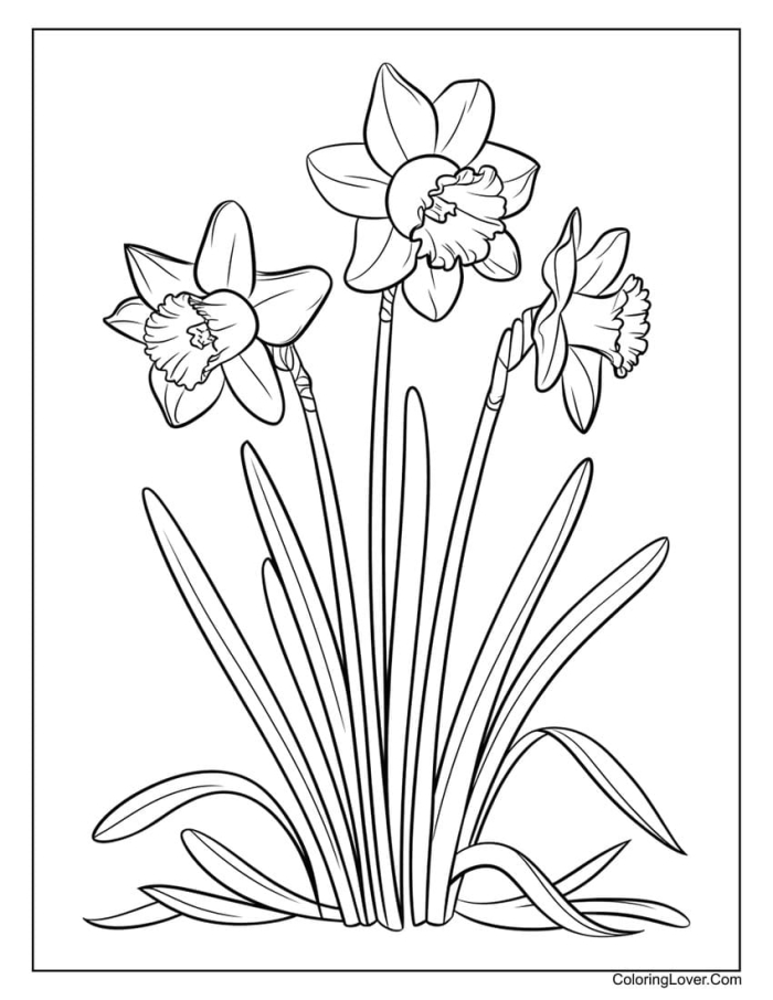 Color a Daffodil Worksheet Flower Anatomy Activity 24 First grade student worksheet for coloring a daffodil with a diagram of flower parts labeled for identification