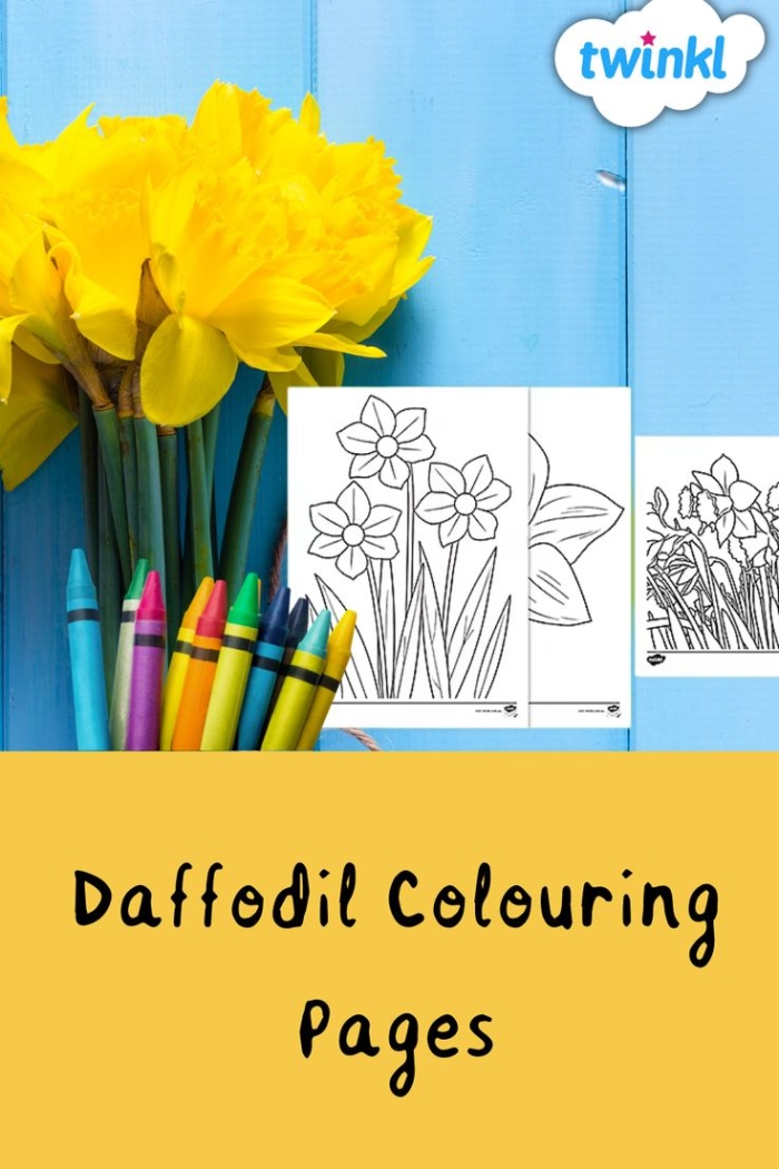 Color a Daffodil worksheet featuring flower anatomy for first graders image 17 First grade student coloring a diagram of a spring daffodil for an algebra worksheet