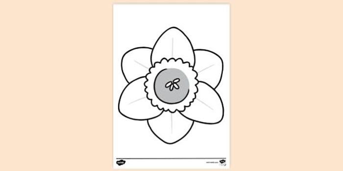 Color a Daffodil worksheet 25 for first grade flower anatomy and spring learning First grade students coloring a labeled daffodil diagram on a spring math worksheet number 25