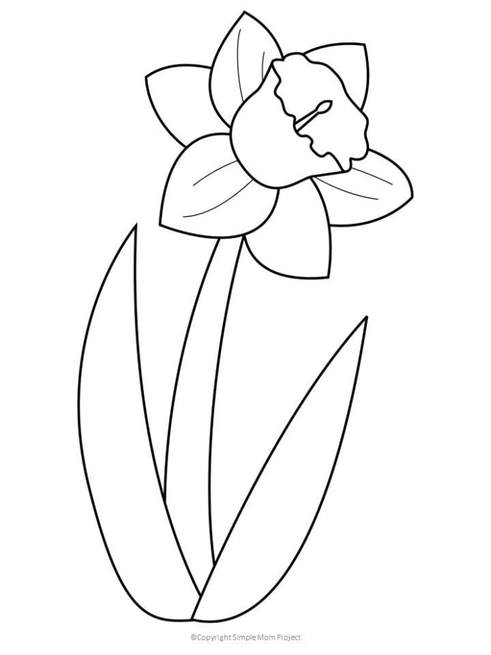 Color a Daffodil worksheet spring flower parts diagram 15 First grade math student coloring a daffodil diagram worksheet for spring