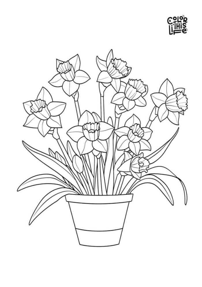 Color a Daffodil worksheet number two for spring science activities First grade worksheet with a daffodil diagram for students to color and learn flower parts
