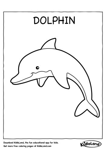 Dolphin coloring page worksheet for first graders to enjoy and learn