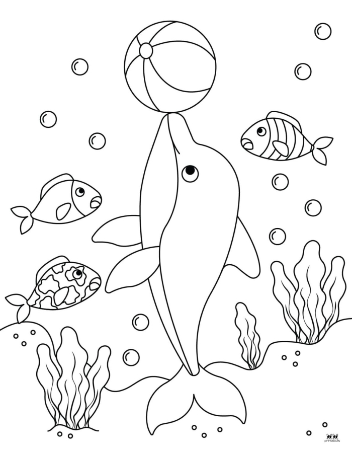 Dolphin coloring page worksheet designed for first graders to enjoy