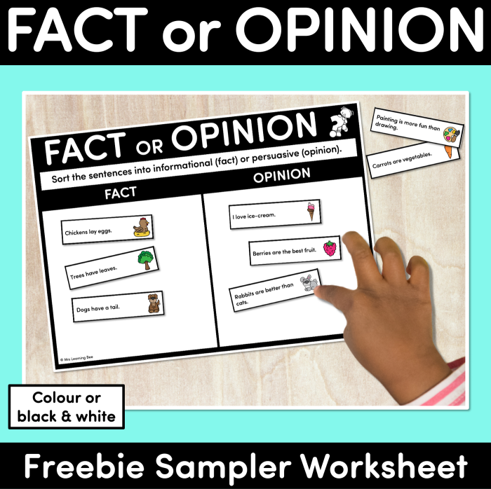 First grade students sorting statements into fact and opinion categories on a worksheet. Visual guide for the Fact vs. Opinion Sort worksheet for grammar lessons.
