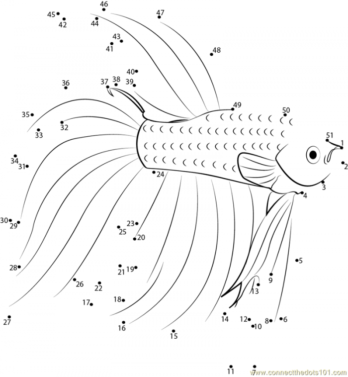 Ratios and Proportions worksheet for First Grade Colorful fish connect the dots worksheet for first graders to practice counting from 1 to 33. Fun counting activity featuring a fish to complete by connecting the dots.