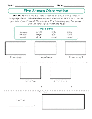 Reading worksheet for First Grade First grade students engaging with the Five Senses Observation worksheet for a fun riddle activity. Worksheet image featuring sensory words and a word bank for educational use.