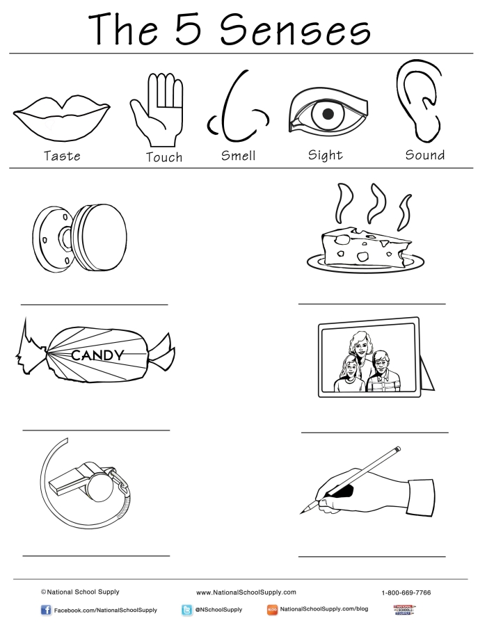 Engaging worksheet for practicing descriptive language using the five senses Five Senses Observation worksheet featuring sensory words and a riddle activity for first graders