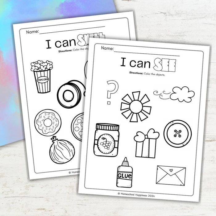 Reading worksheet for First Grade First grade students engaging with the Five Senses Observation worksheet to create riddles. Fun worksheet for practicing sensory vocabulary and descriptions using a word bank.