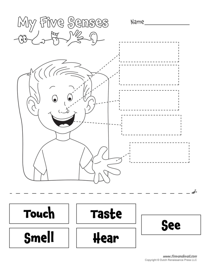 Fun five senses riddle worksheet for creative learning and sensory exploration Worksheet featuring a five senses observation activity for first graders