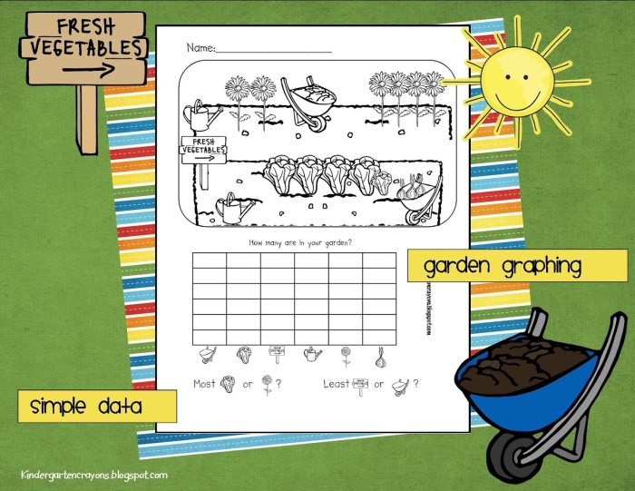 First grade garden graphing activity featuring a rabbit and its vegetable picks Colorful garden graphing worksheet for first graders illustrating rabbit's vegetable choices