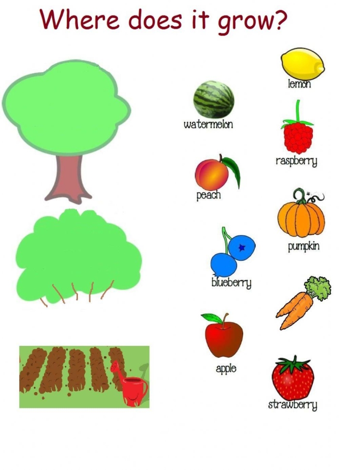 Interactive illustration of a rabbit's vegetable pickings for young learners Colorful garden graphing worksheet for first graders to enhance counting skills