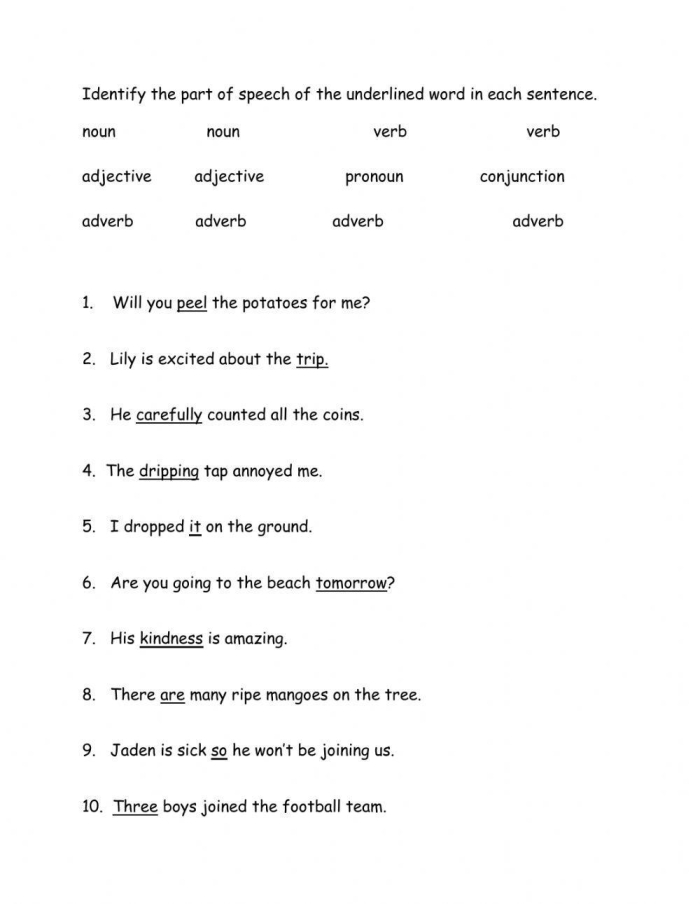 First grade Parts of Speech Quiz worksheet with grammar practice exercises
