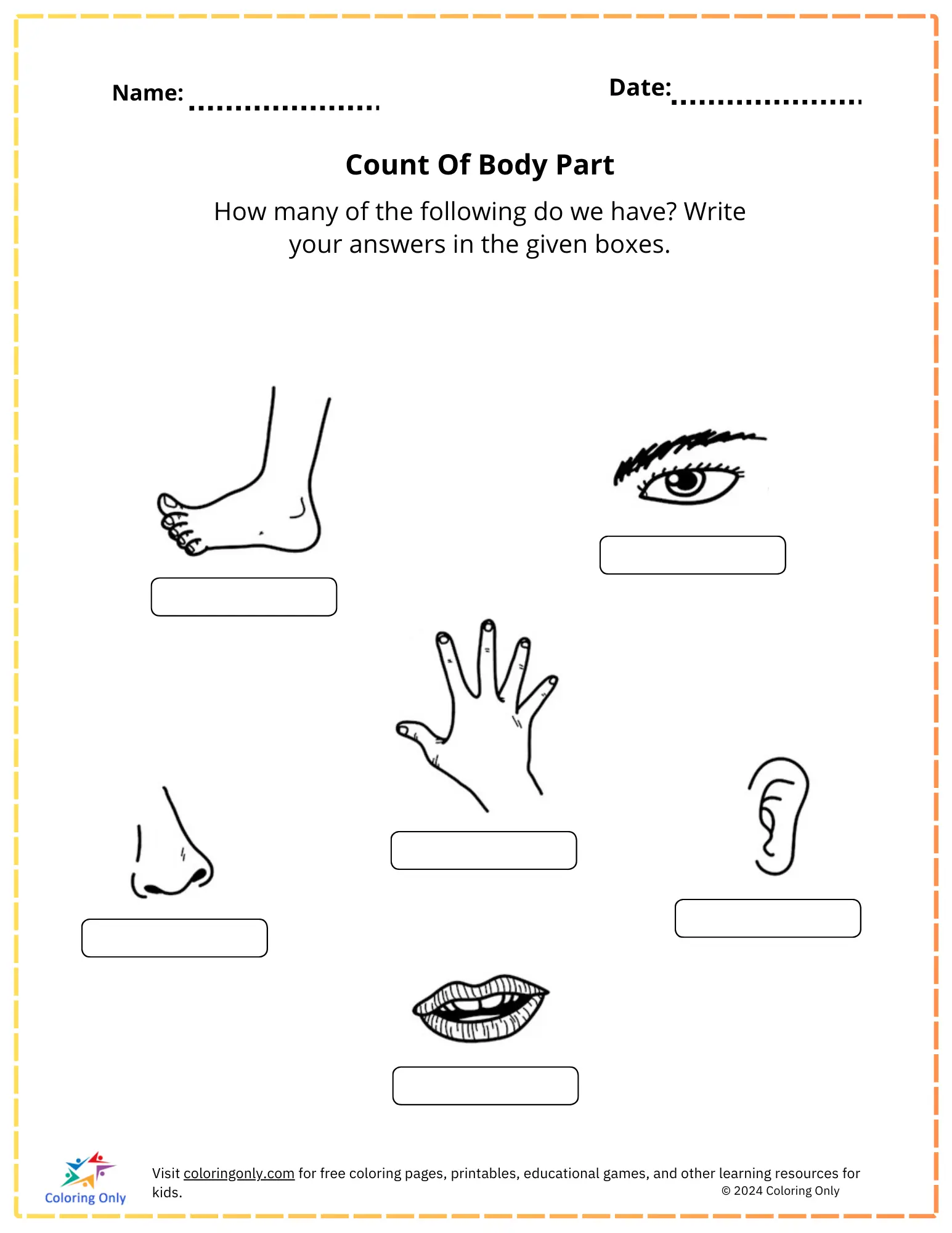 First grade worksheet featuring a human body diagram for identifying and spelling anatomical parts