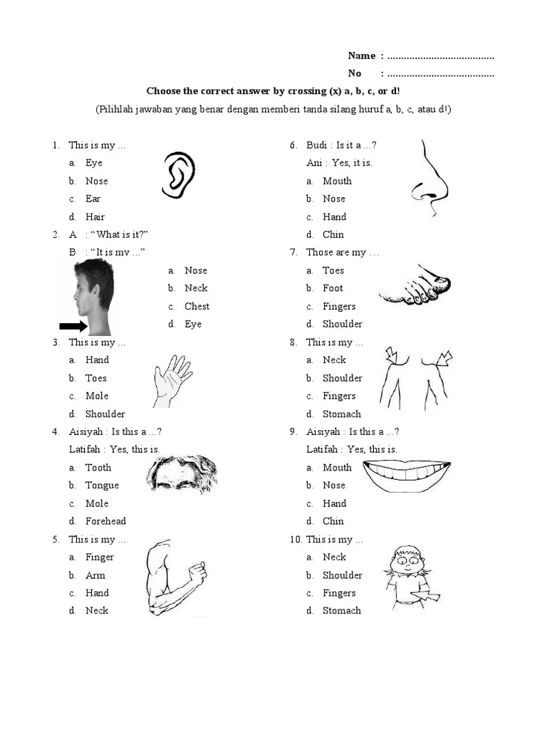 First grade worksheet featuring a human body diagram for labeling anatomy and practicing spelling