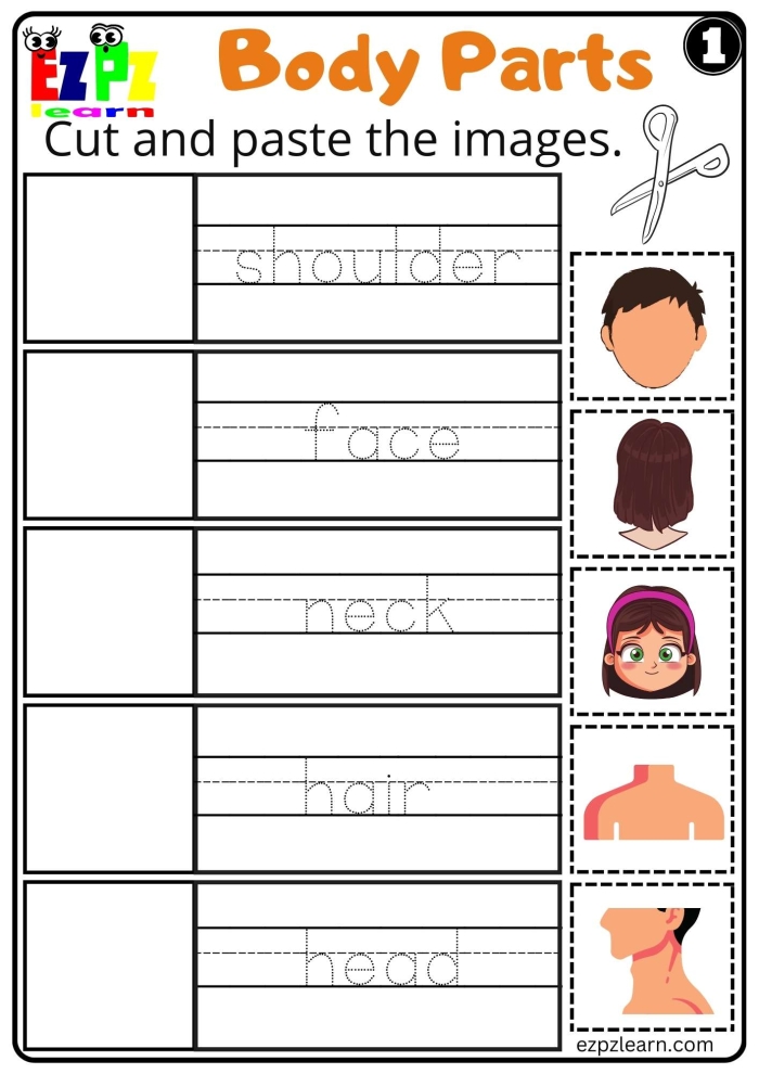 Colorful worksheet for first graders to label parts of the human body, enhancing spelling and research skills. Engaging human body parts worksheet for first grade life science exploration.