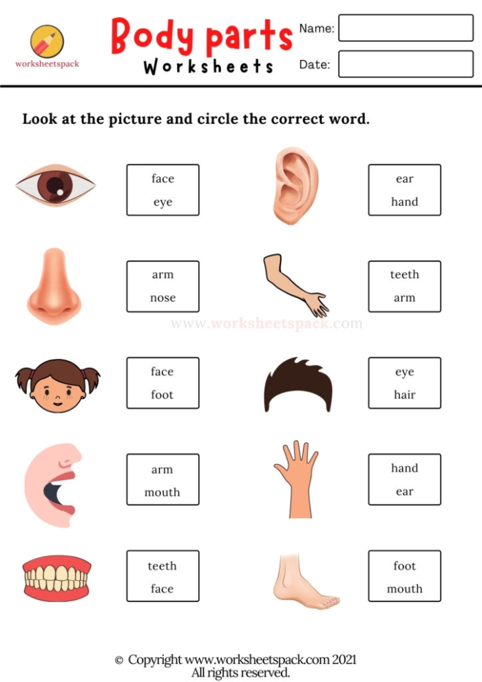 Worksheet featuring parts of the human body for first graders to enhance spelling and life science knowledge