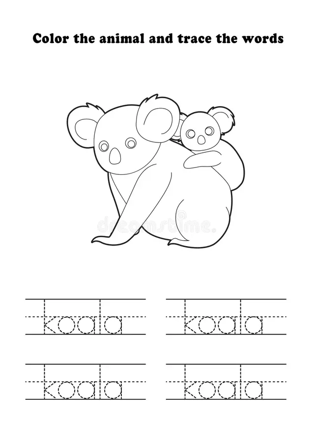 First grade science worksheet featuring a koala bear for students to color