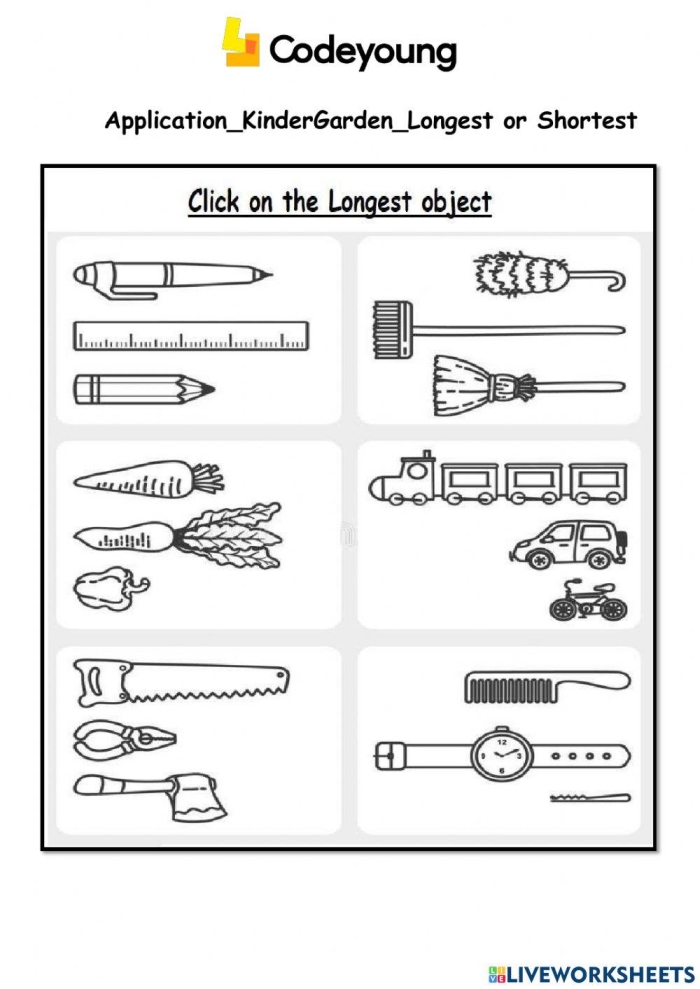 First grade students comparing and ordering objects from shortest to longest length