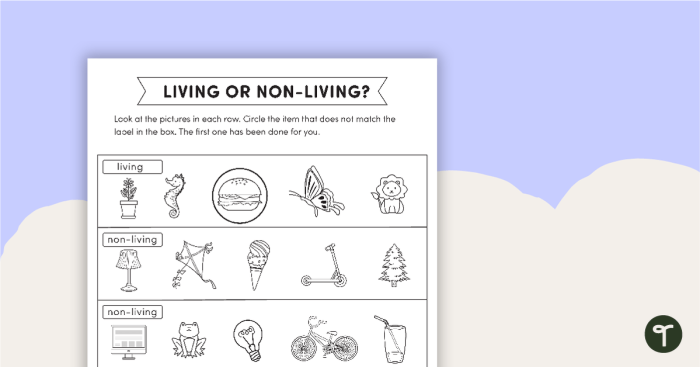 Grammar and Mechanics worksheet for First Grade Worksheet for identifying living and non-living things, designed for first graders. Engaging activity for introducing concepts in animal and life sciences.