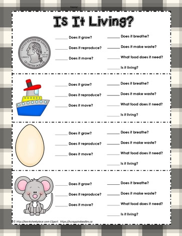 Living or Non-Living? Worksheet for Grade 1 Learning Worksheet for identifying living and non-living things for first graders