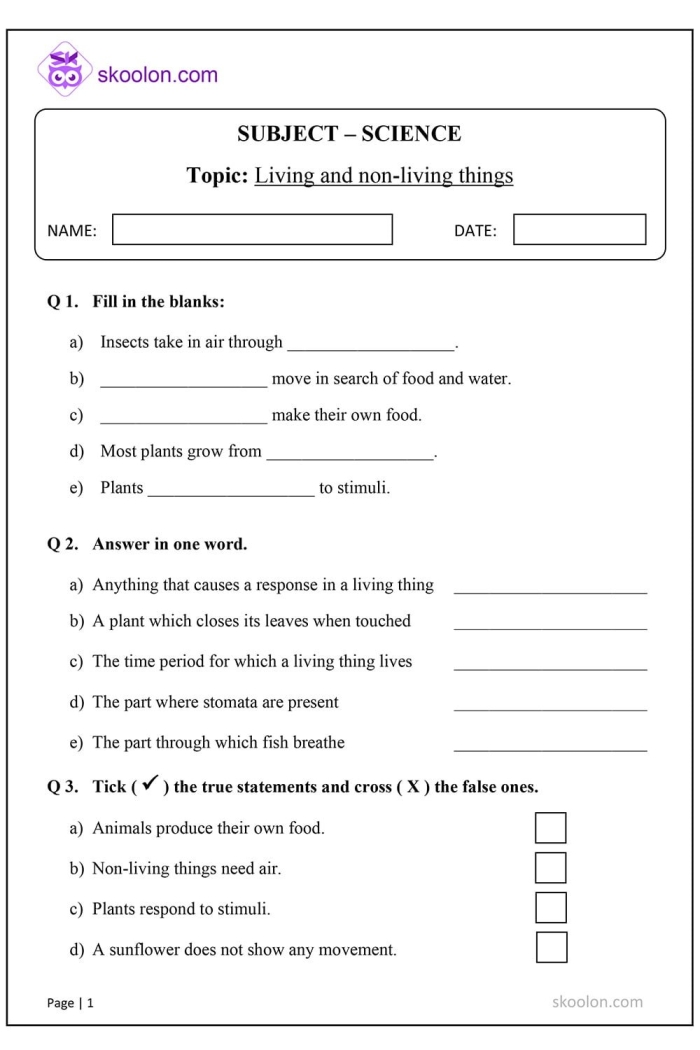 Living or Non-Living? worksheet for young learners in grammar and mechanics Worksheet for identifying living and non-living things for first graders