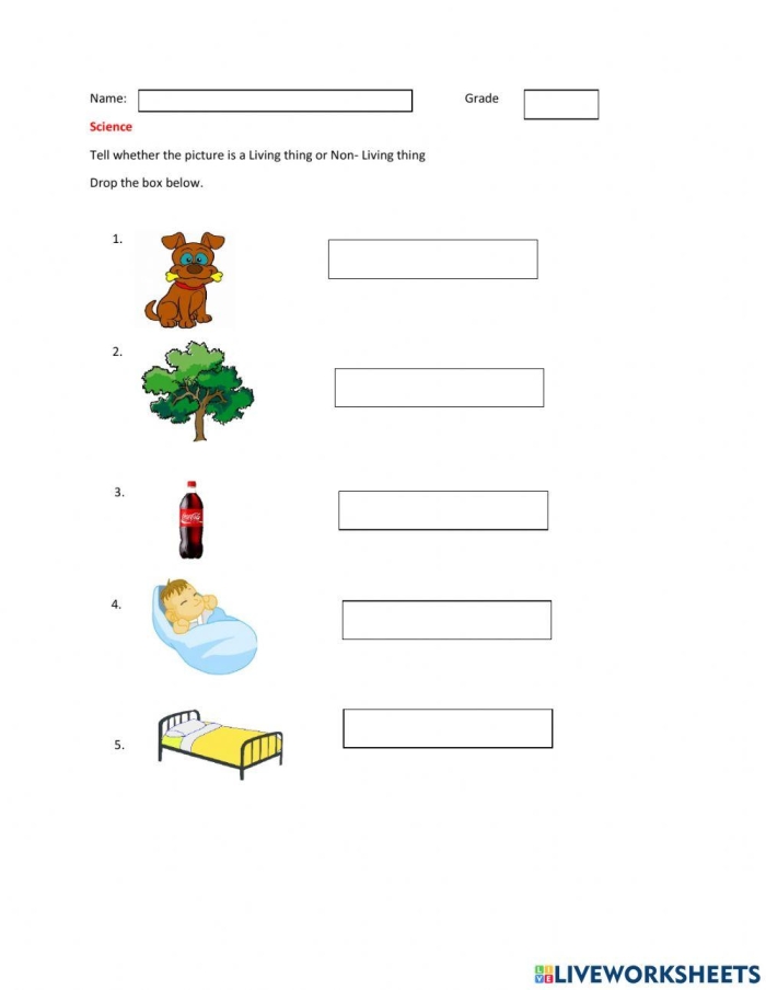 Engaging Living or Non-Living? activity for young learners Worksheet for identifying living and non-living things for first graders